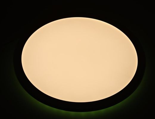 Ceiling Dimmable Led Panel Light Intelligent Mount Round Music Rgb Wifi Control